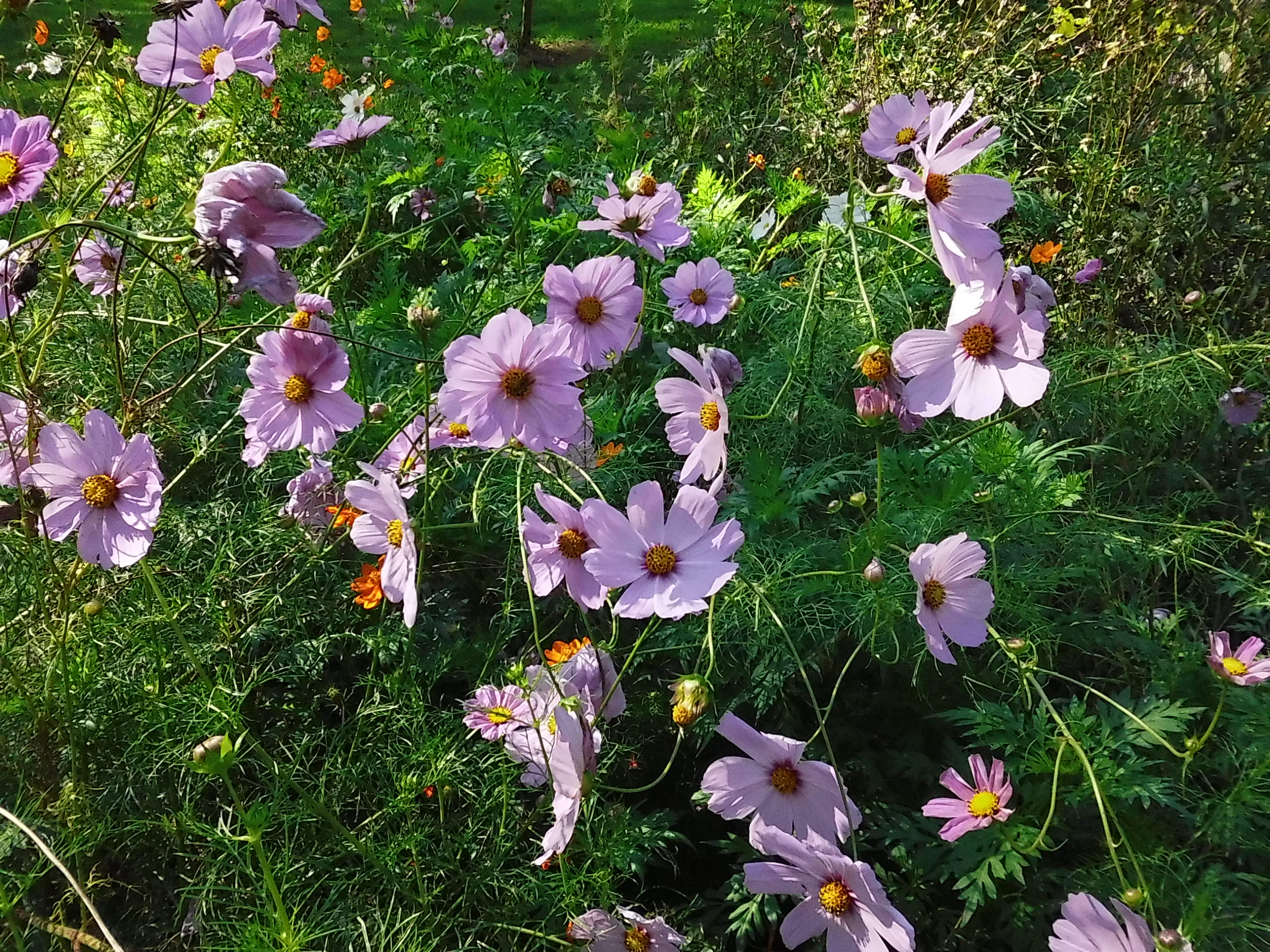 A sample image taken with the Instax Mini LiPlay+