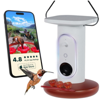BirdBuddy Smart Solar Pro Hummingbird Feeder