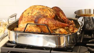 Cooked turkey in roasting pan