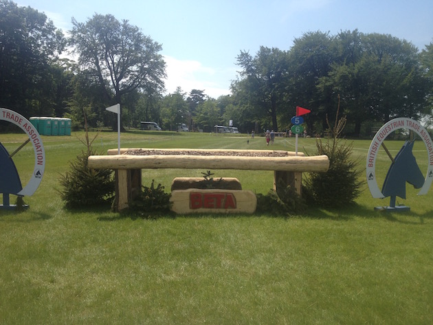 Bramham2015CCI5