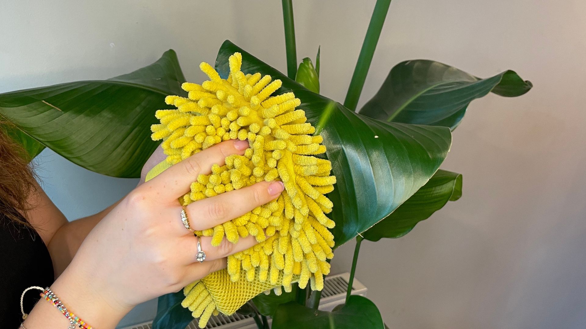 Writer Emily dusting off a plant leave