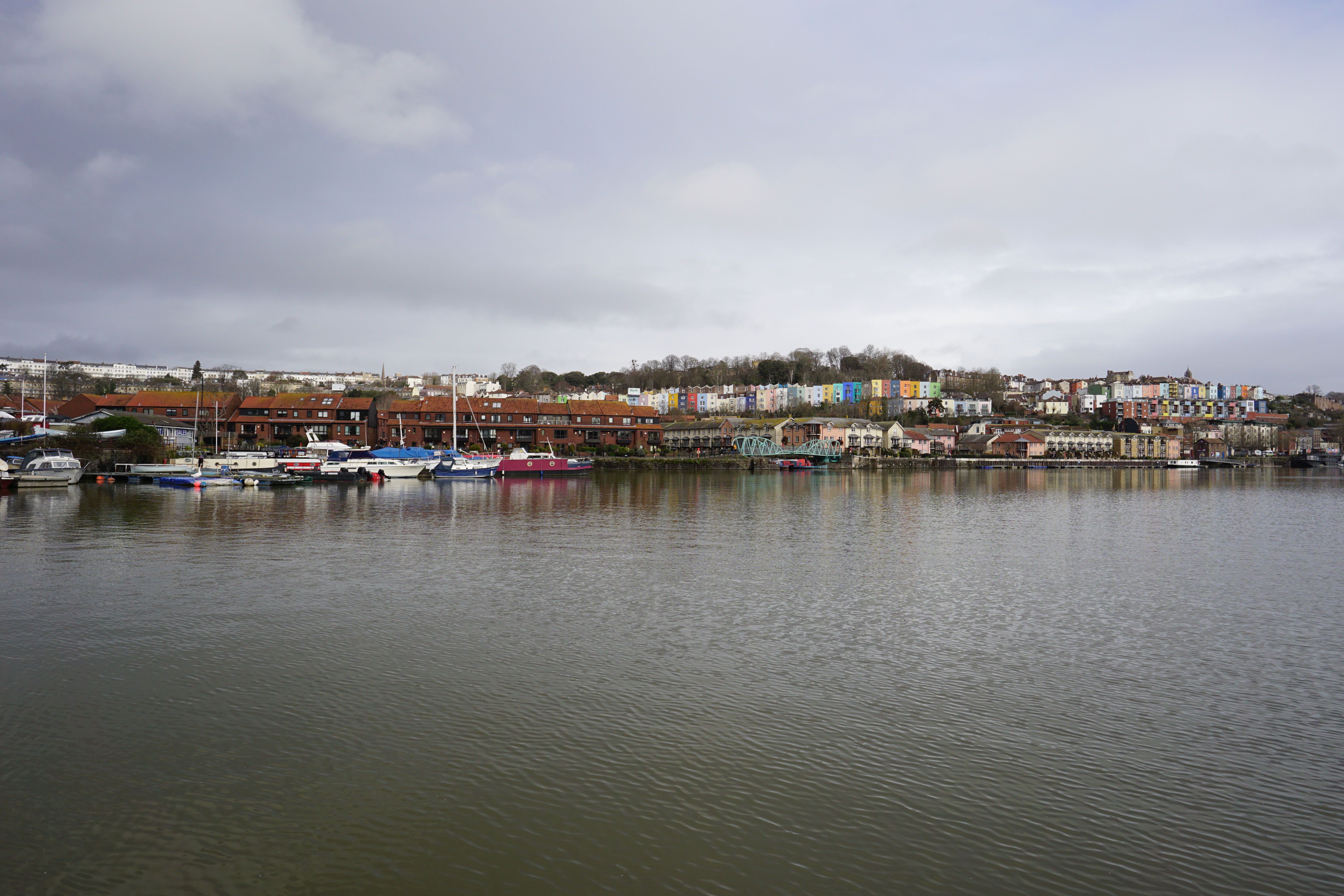 Sigma 15mm f/1.4 DC | C sample image