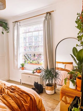 A beige and orange bedroom with lots of plants, and a black cat