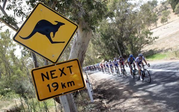Beware of the kangaroos, guys
