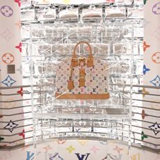 a louis vuitton bad suspended in a glass case surrounded by the LV monogram print