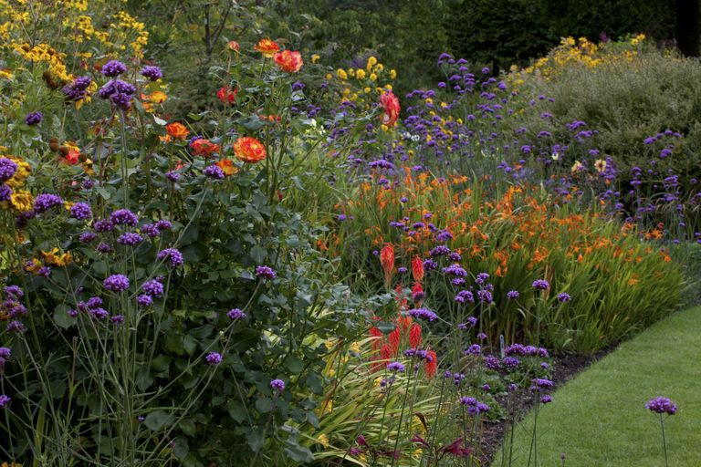 hot and cool coloured flowers in a garden border