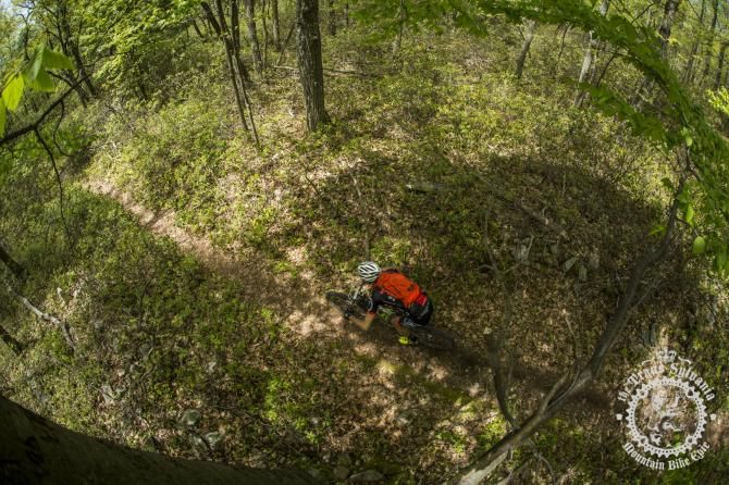 NoTubes Trans-Sylvania Epic rider surrounded by green foliage.