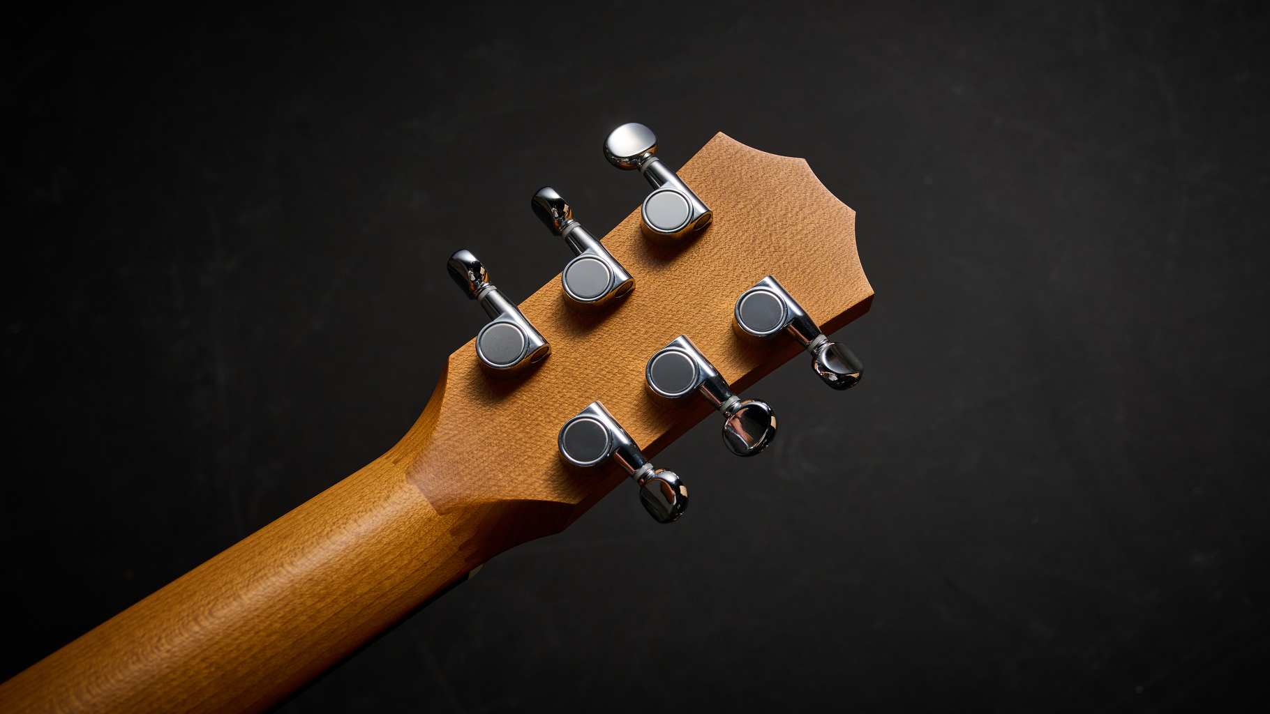The back of the headstock on the Taylor BT1e Baby Taylor 3/4 acoustic guitar