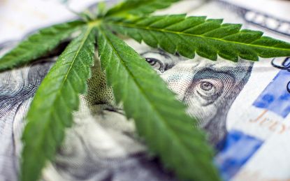 photo illustration of money and marijuana leaf