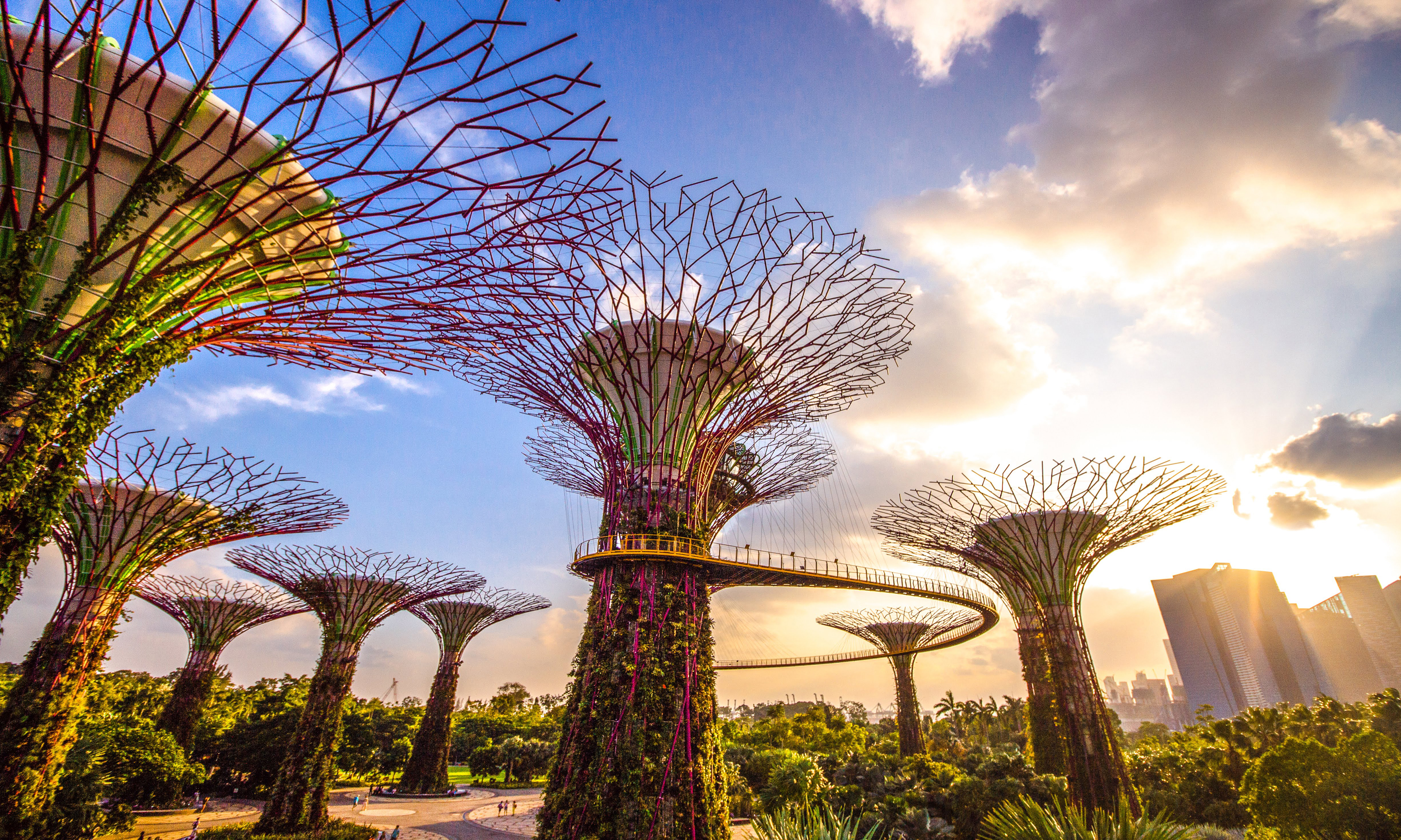 Supertree grove at Gardens by the Bay