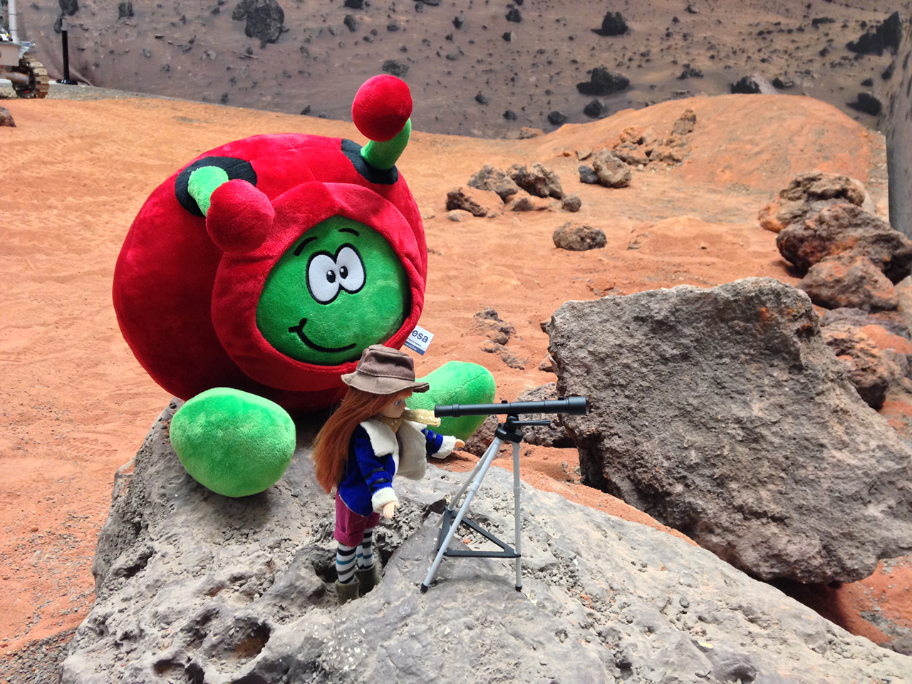 Stargazer Lottie Outside on the Rocks