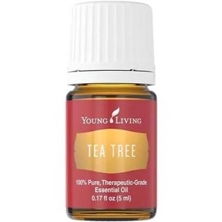 Young Living Tea Tree essential oil bottle. Amber glass bottle with a white lid and red label