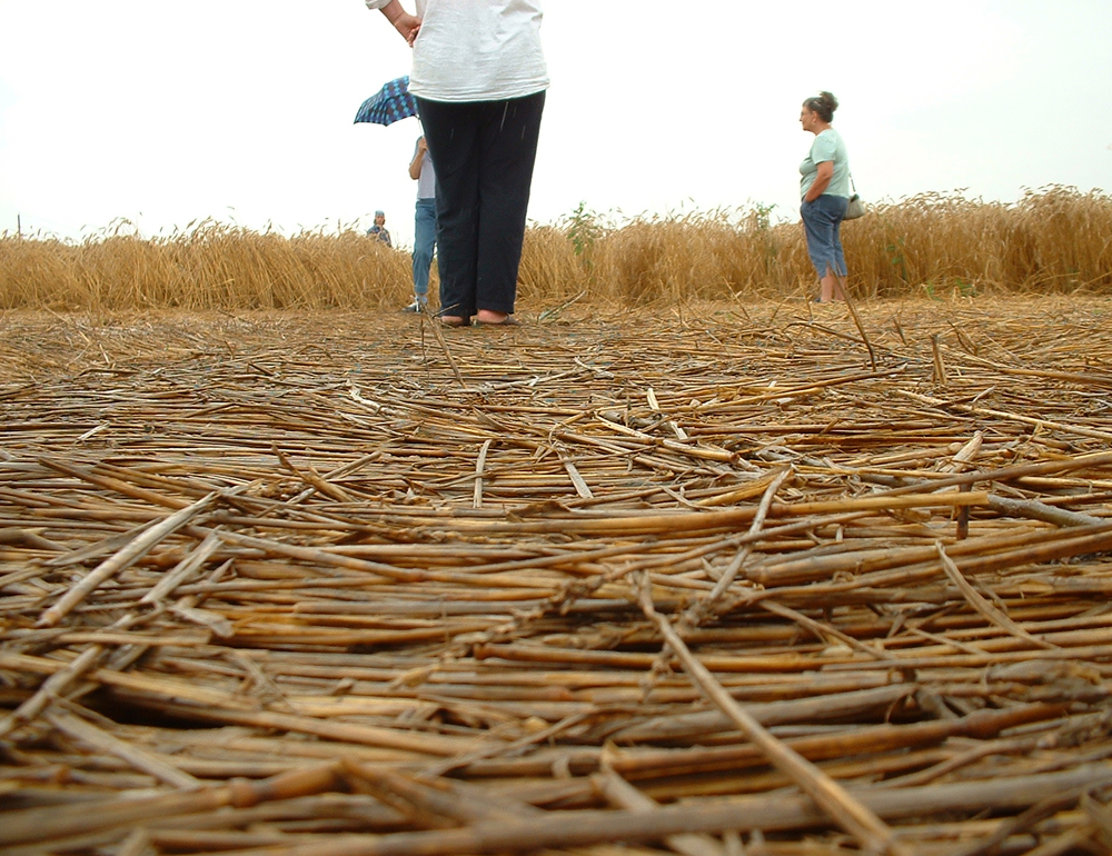 crop circle in canada