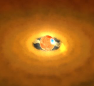 Astronomers observed a newborn star, called V1647 Orionis, in McNeil's Nebula.