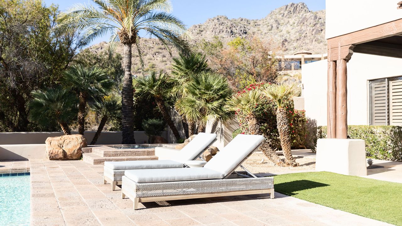 swimming pool with patio, loungers and palm trees planted in the backyard