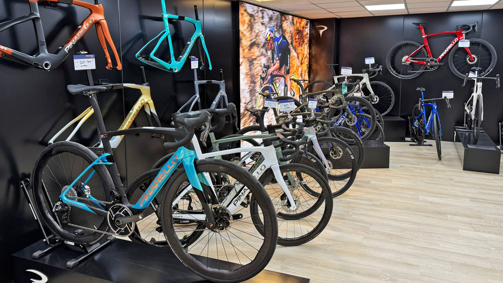 Pinarello bikes in Pronto Bikes Frome Store