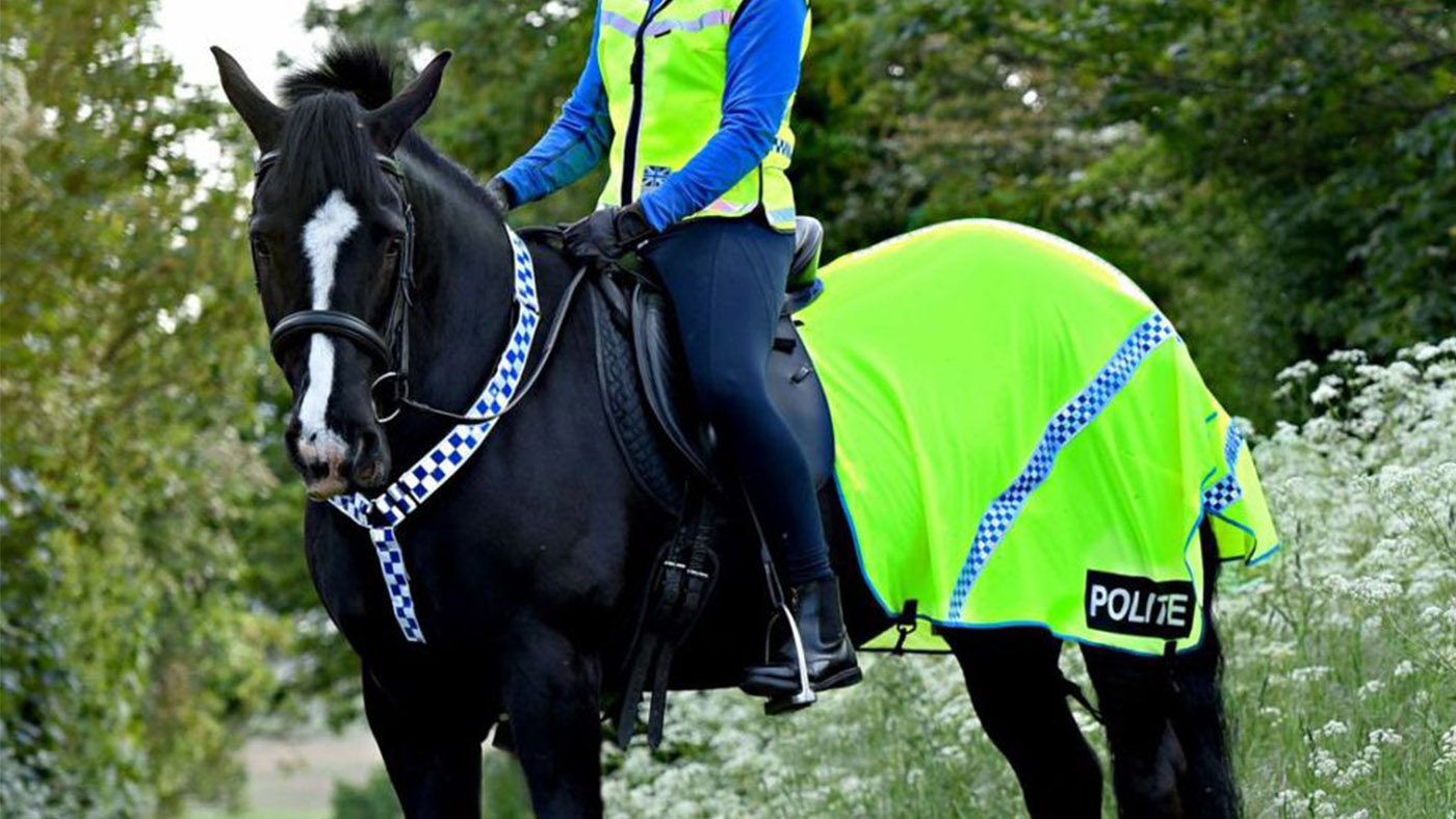 Equisafety Polite mesh quarter rug hi viz for horses
