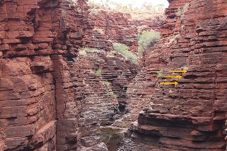 The Joffre Gorge in Karijini National Park in western Australia, showing regular alternations between reddish-brown, harder rock and a softer, clay-rich rock (indicated by the arrows) at an average thickness of 85 cm. These alternations are attributed to past climate changes induced by variations in the eccentricity of the Earth’s orbit.