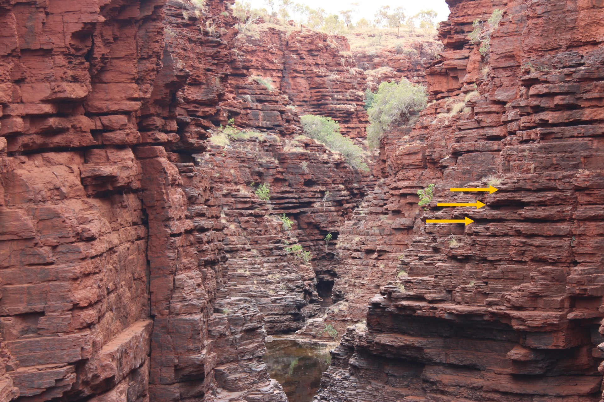 Joffrey Gorge dans le parc national de Carigeni en Australie occidentale, montrant une alternance régulière entre une roche dure brun rougeâtre et une roche plus tendre et riche en argile (indiquée par des flèches) d'une épaisseur moyenne de 85 cm.  Ces changements sont attribués aux variations climatiques passées causées par les différences d'excentricité de l'orbite terrestre.