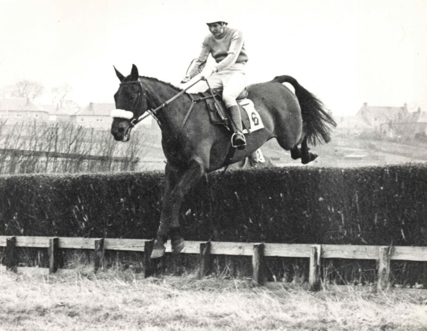 JeanThomson3.jpg