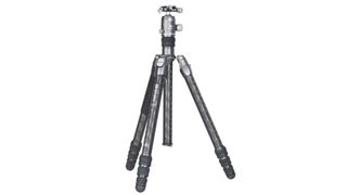 Best travel tripod: Benro Rhino FRHN34CVX30