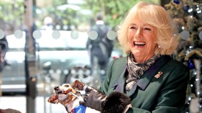Camilla, Duchess of Cornwall with Beth, her jack-russell terrier, unveiling a plaque as they visit the Battersea Dogs and Cats Home to open the new kennels and thank the centre's staff and supporters on December 9, 2020 in Windsor, United Kingdom. 