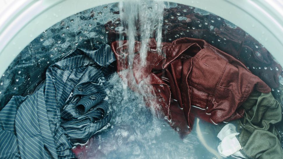 Agitator vs Impeller Top Ten Reviews