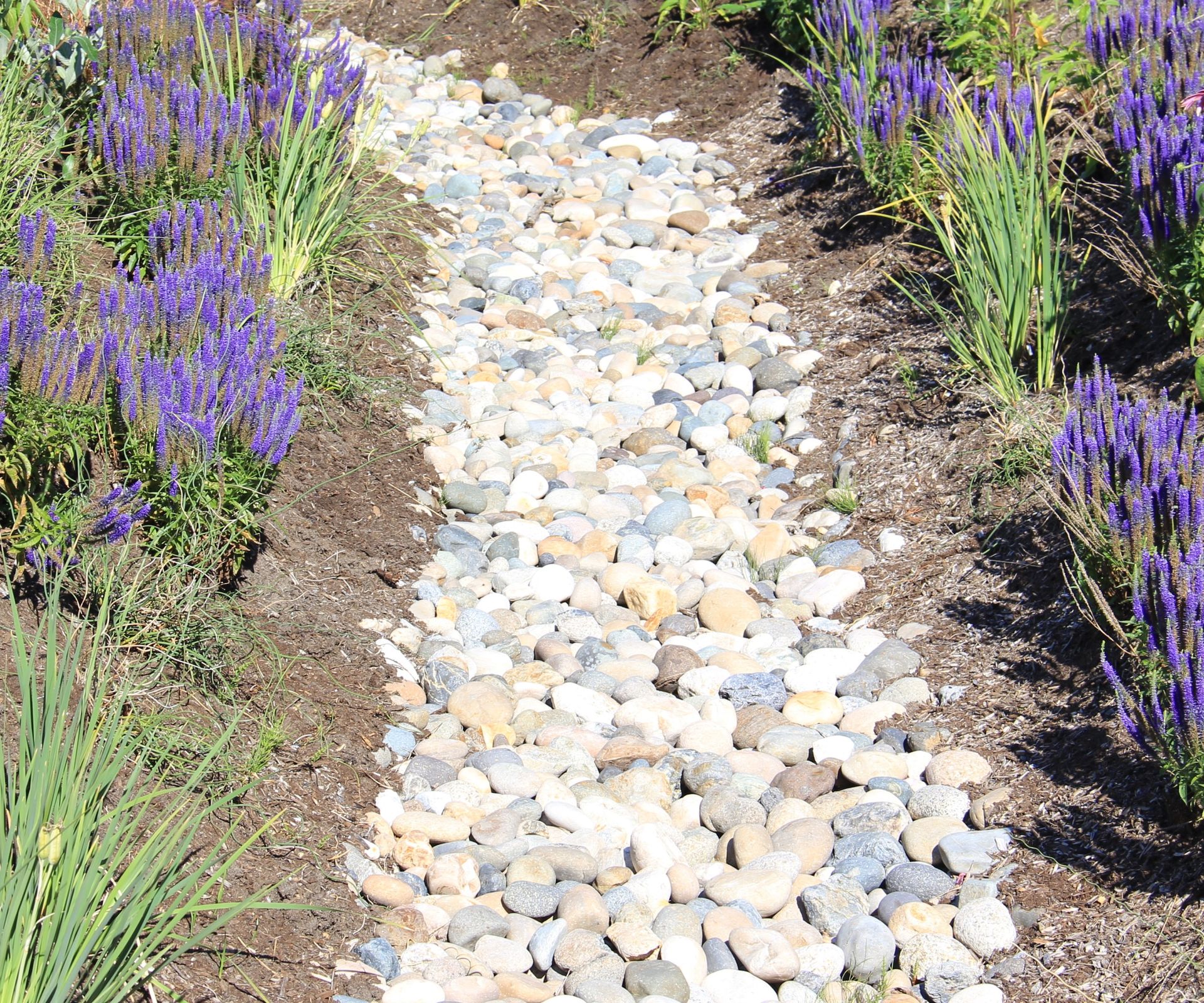 How to use a french drain in your backyard: expert advice | Homes & Gardens