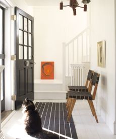 entryway with white walls, white staircase, black front door, striped dark gray carpet runner and cat in the foreground