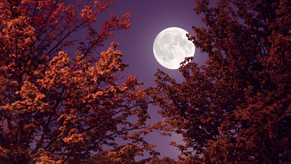 Full moon 2024 When to see all 12 full moons this year — and what they