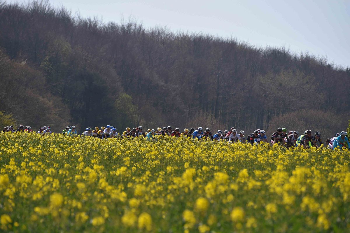 A scenic shot of the peloton