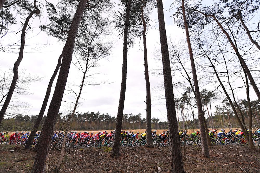 Scenery along the route of Scheldeprijs
