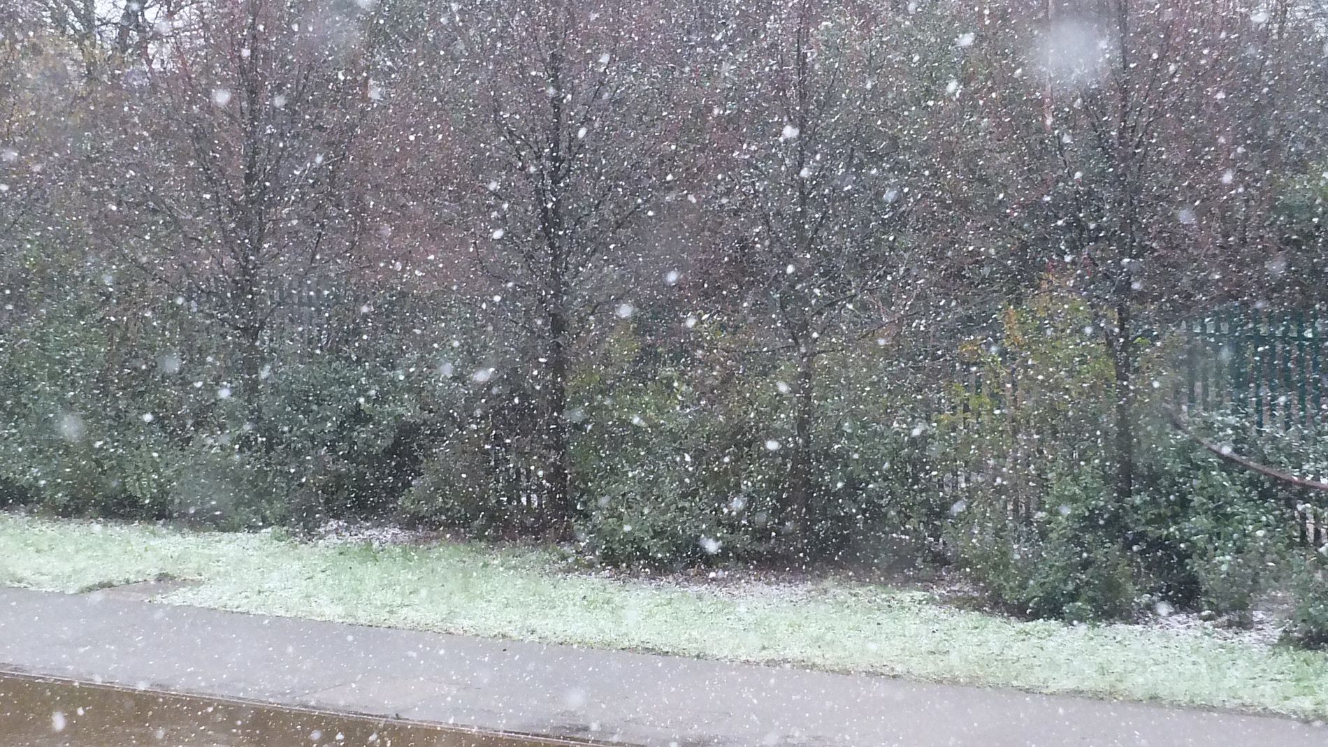 GuruShots - February 2026