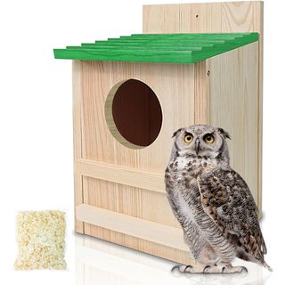 Large owl box