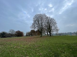 iPhone 12 Pro Max camera sample