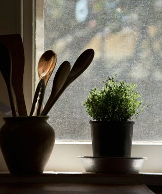 E3NBPD - wooden spoons in a jar in a window