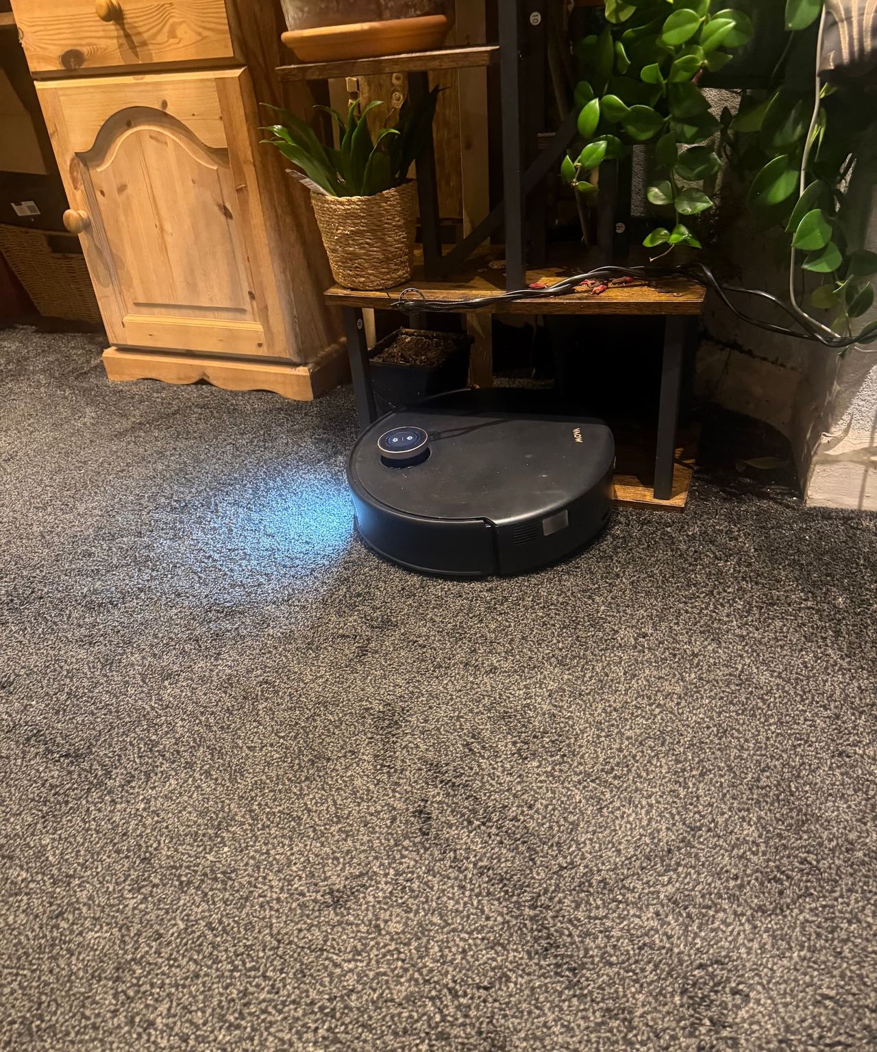 A MOVA vacuum hoovering a carpet