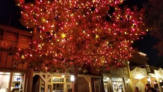 The Halloween Tree in Frontierland at DIsneyland