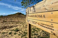 Bodegas Ondarre’s Valderroma vineyard.