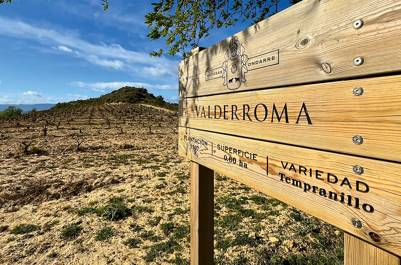 Bodegas Ondarre&rsquo;s Valderroma vineyard.