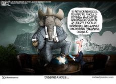 Political Cartoon