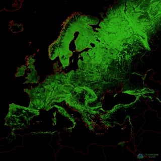 Cartographer Robert Szucs also creates forest-cover maps, including this otherworldly view of Europe.
