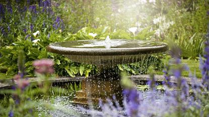Beautiful summer garden with water fountain in amongst the flowers