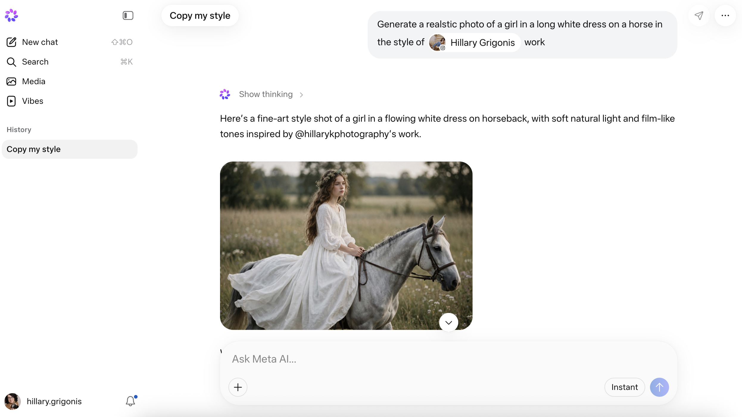 A screenshot of an AI generated image on Meta Muse Image
