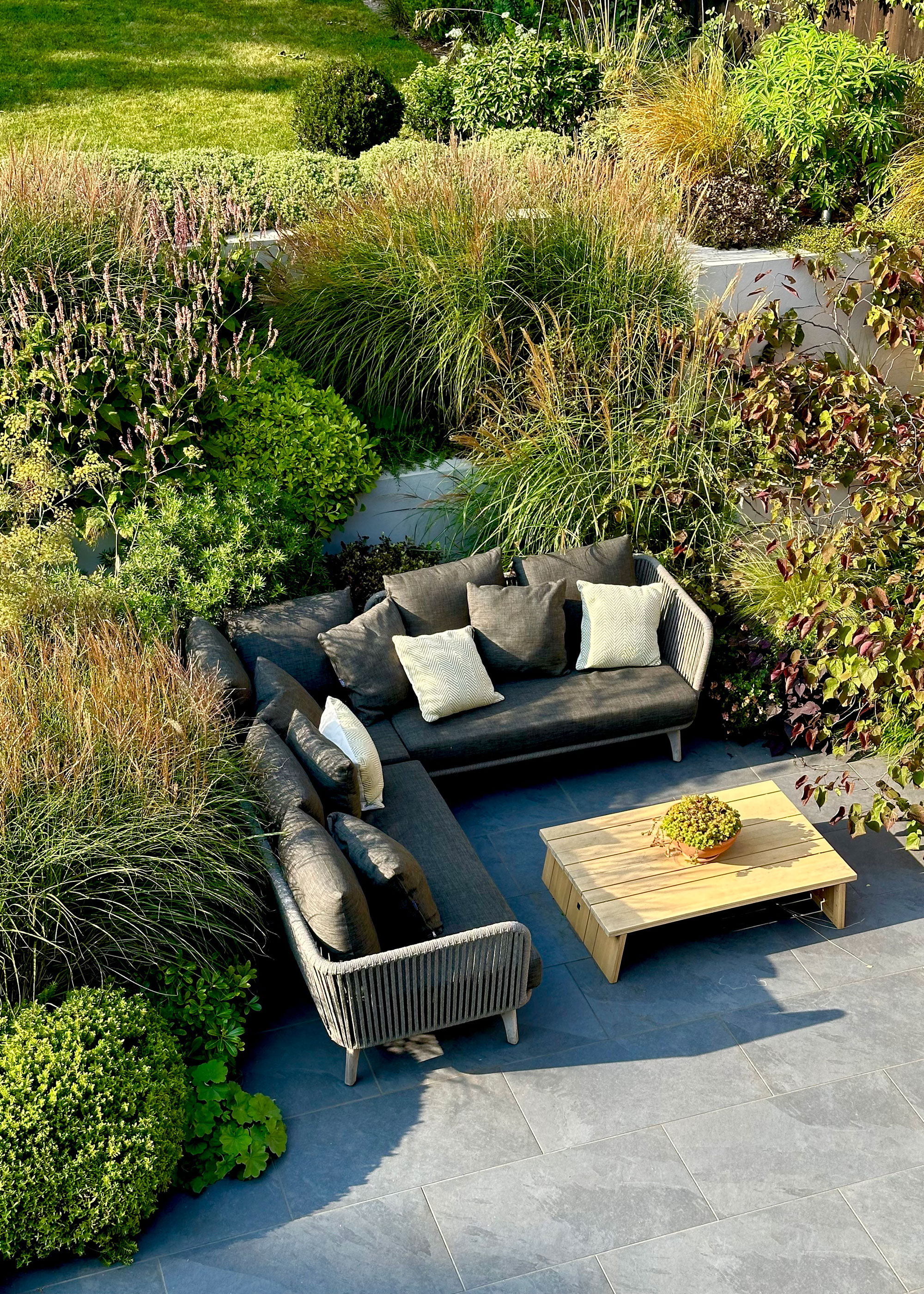 autumn garden with ornamental grasses, evergreens, outdoor sofas and table