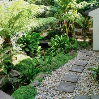 Stepping stone pathway with gravel either side and luscious green plants such as ferns and moss