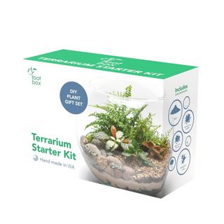 A white and green box that says 'terrarium starter kit' in green letters, with a picture of a terrarium on it
