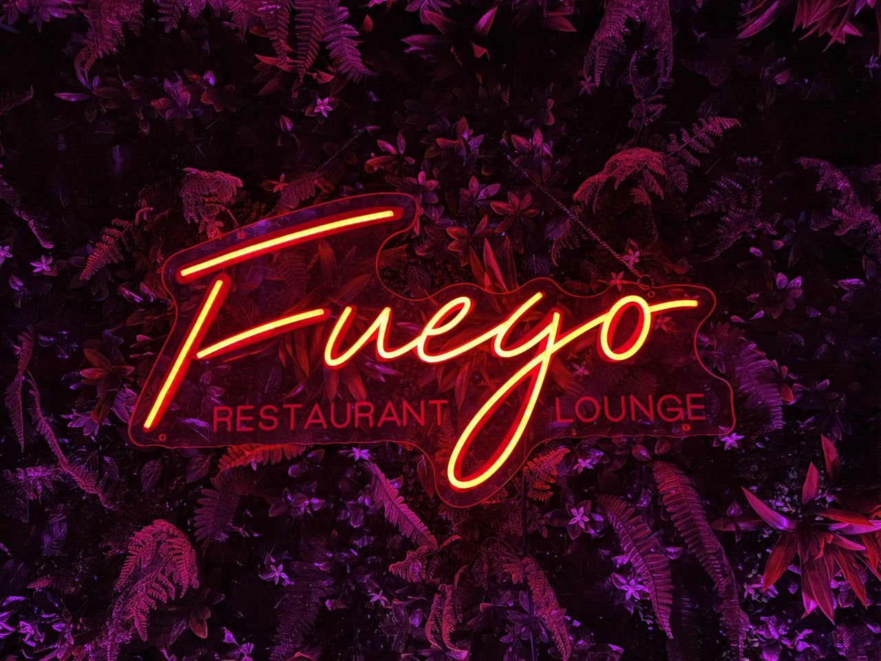 A dimly lit neon sign