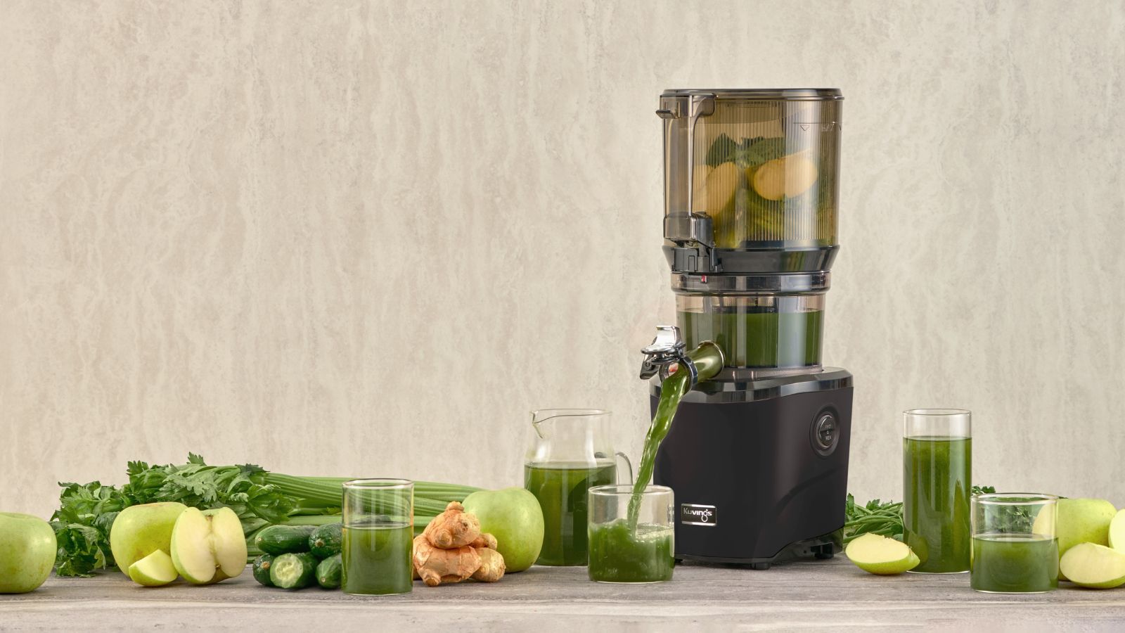 The World Of Martha Stewart Store Martha Stewart Citrus Juicer