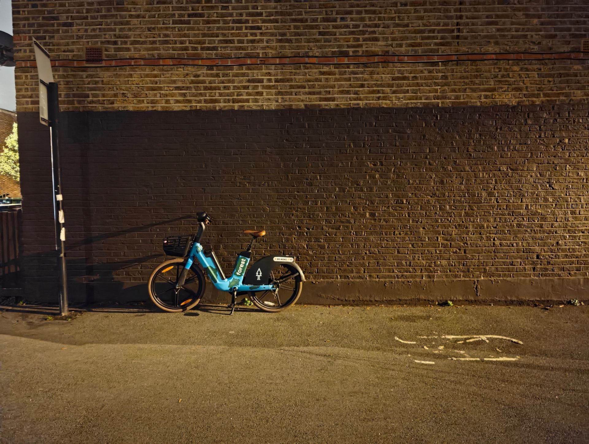 A Forest Bike at night